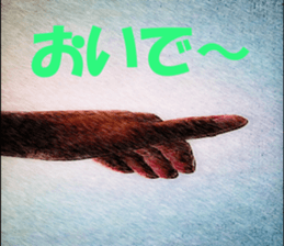 I try to return the reply sticker #13677223