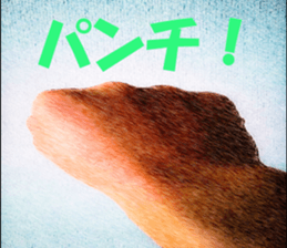 I try to return the reply sticker #13677229