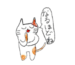White-and-brown cat stickers sticker #13677598