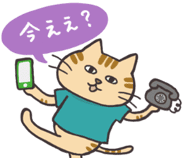 The mild cats in Kansai region sticker #13678383
