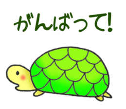 Squid, Octopus, Animals. sticker #13678523