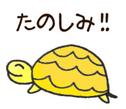 Squid, Octopus, Animals. sticker #13678524