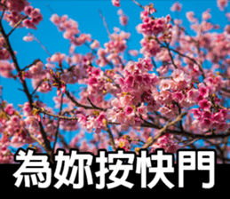 My photography road sticker #13679226