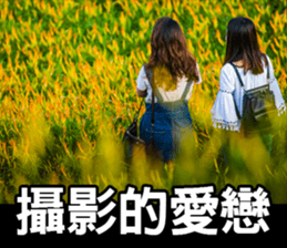 My photography road sticker #13679228