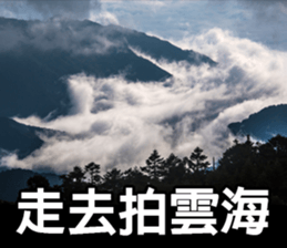 My photography road sticker #13679229