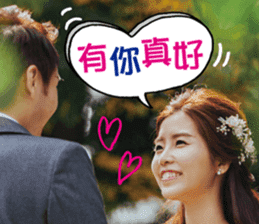 Kuoyi & Elaine's Wedding Stickers sticker #13680038