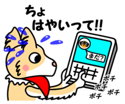 Lovely Maru 4 sticker #13681440