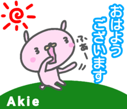 "AKIE" only name sticker sticker #13681624