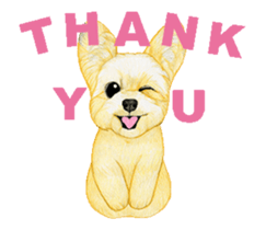 Yorkshire Terrier motion sticker sticker #13682469