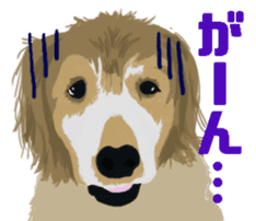 Jump Out! Dog's sticker #13682573