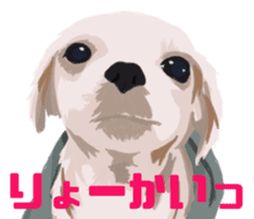 Jump Out! Dog's sticker #13682576