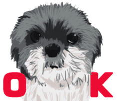 Jump Out! Dog's sticker #13682584