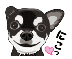 Move! Sticker of Black Chihuahua sticker #13682769