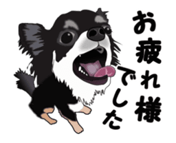 Move! Sticker of Black Chihuahua sticker #13682773