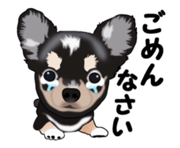Move! Sticker of Black Chihuahua sticker #13682781