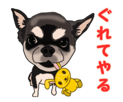 Move! Sticker of Black Chihuahua sticker #13682789