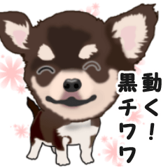 Move! Sticker of Black Chihuahua