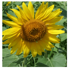 Picture sticker of the landscape