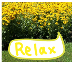 Picture sticker of the landscape sticker #13683225