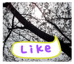 Picture sticker of the landscape sticker #13683226