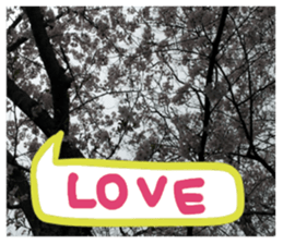 Picture sticker of the landscape sticker #13683227