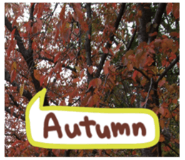 Picture sticker of the landscape sticker #13683232