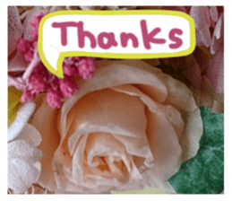 Picture sticker of the landscape sticker #13683233