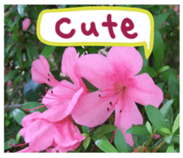 Picture sticker of the landscape sticker #13683235