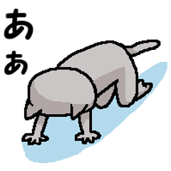 He is a cat named Gal 11 (It's cold.)