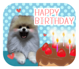 Mr.Pomemaru 5 sticker #13683932