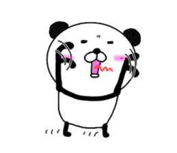 kumasuke of panda sticker #13684071
