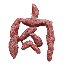 hamburg man sticker #13684198