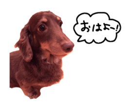 P-chan!! sticker #13684206