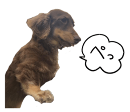 P-chan!! sticker #13684207