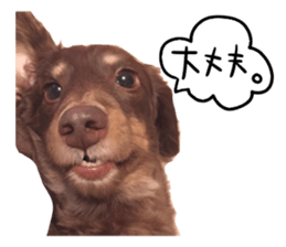 P-chan!! sticker #13684208