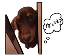 P-chan!! sticker #13684210