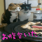 niboshirashurume sticker #13684961