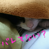 niboshirashurume sticker #13684970