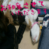 niboshirashurume sticker #13684971