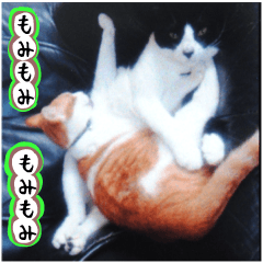 sticker japan cat&gin Photo version 3