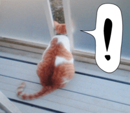 sticker japan cat&gin Photo version 3 sticker #13685751