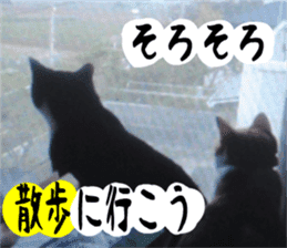 sticker japan cat&gin Photo version 3 sticker #13685753