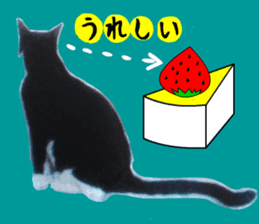 sticker japan cat&gin Photo version 3 sticker #13685760