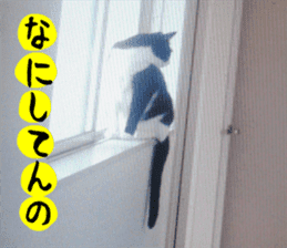 sticker japan cat&gin Photo version 3 sticker #13685764