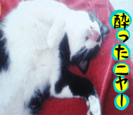 sticker japan cat&gin Photo version 3 sticker #13685765