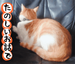 sticker japan cat&gin Photo version 3 sticker #13685776