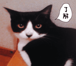 sticker japan cat&gin Photo version 3 sticker #13685778