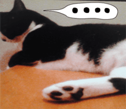 sticker japan cat&gin Photo version 3 sticker #13685780