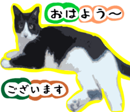sticker japan cat&gin Photo version 3 sticker #13685787