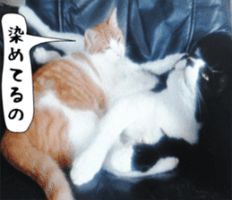 sticker japan cat&gin Photo version 3 sticker #13685788